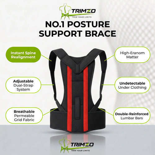 Imported Doctor Plus Posture Belt